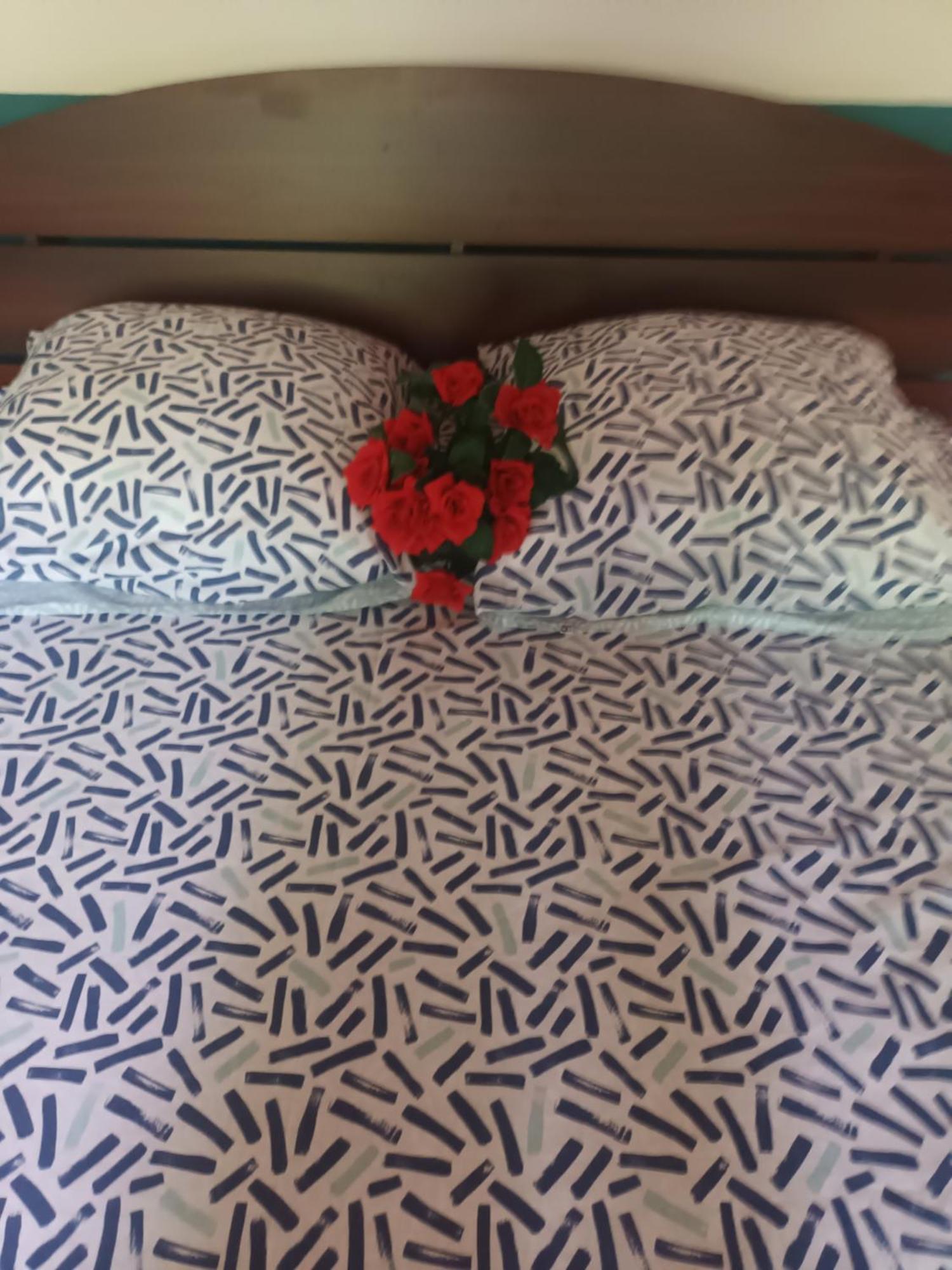 Lovely Flowers In Mount Lavinia 拉维尼亚山 外观 照片